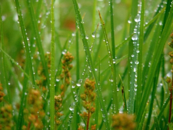 photo by Josh Scholten