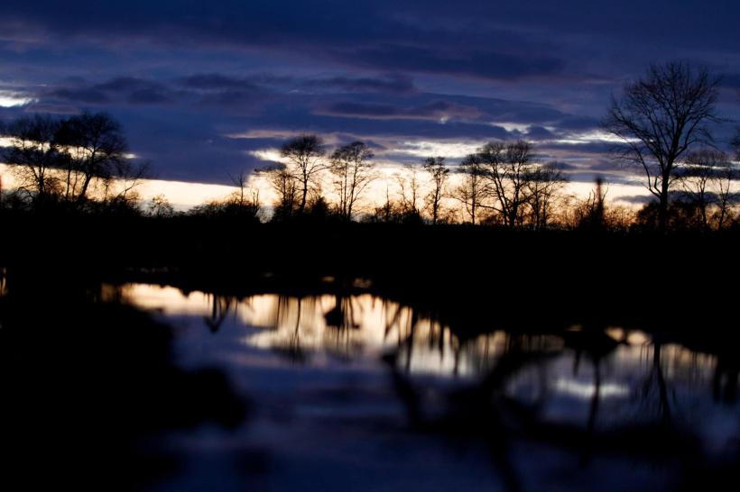 photo by Josh Scholten