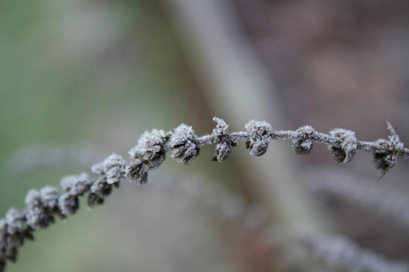 photo by Josh Scholten