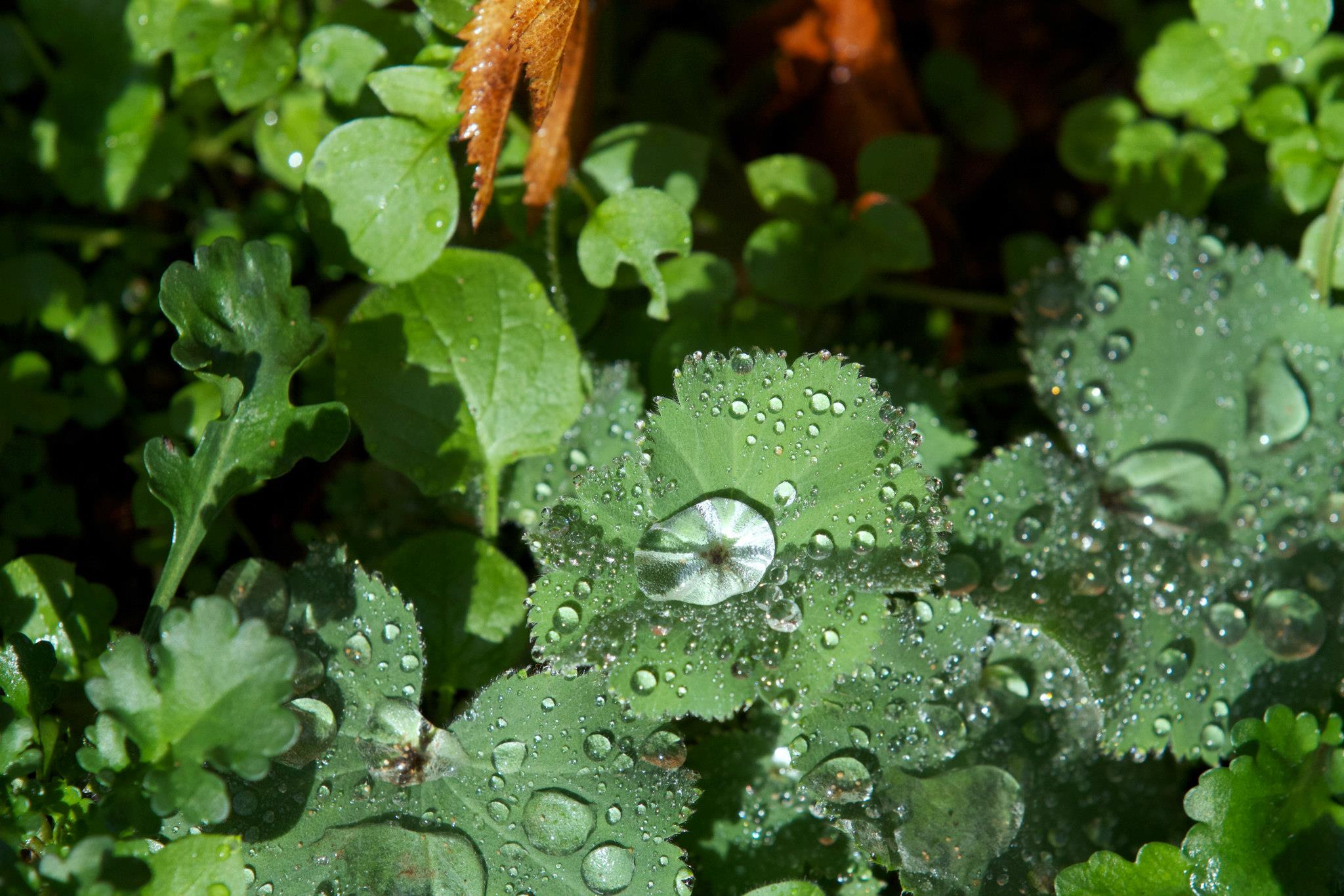 photo by Josh Scholten