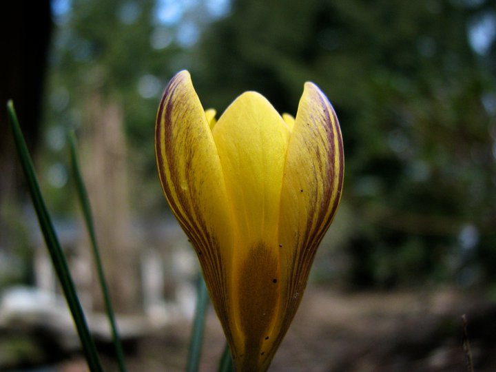 photo by Josh Scholten