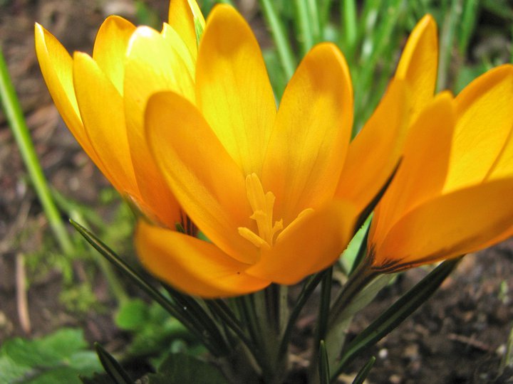 photo by Josh Scholten