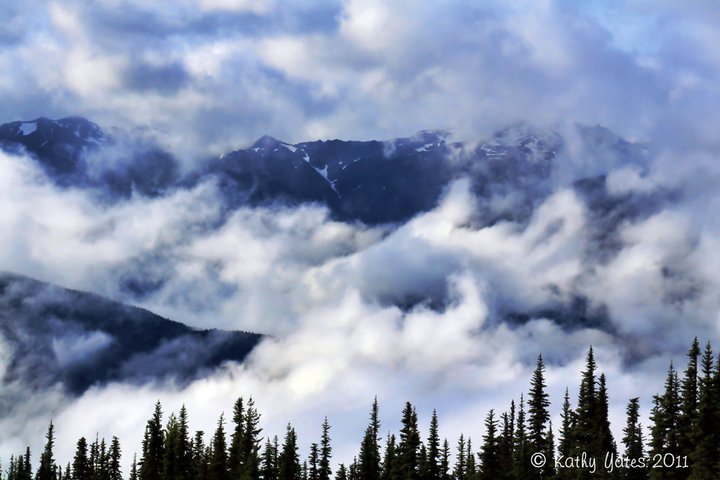 Photo by Kathy Yates