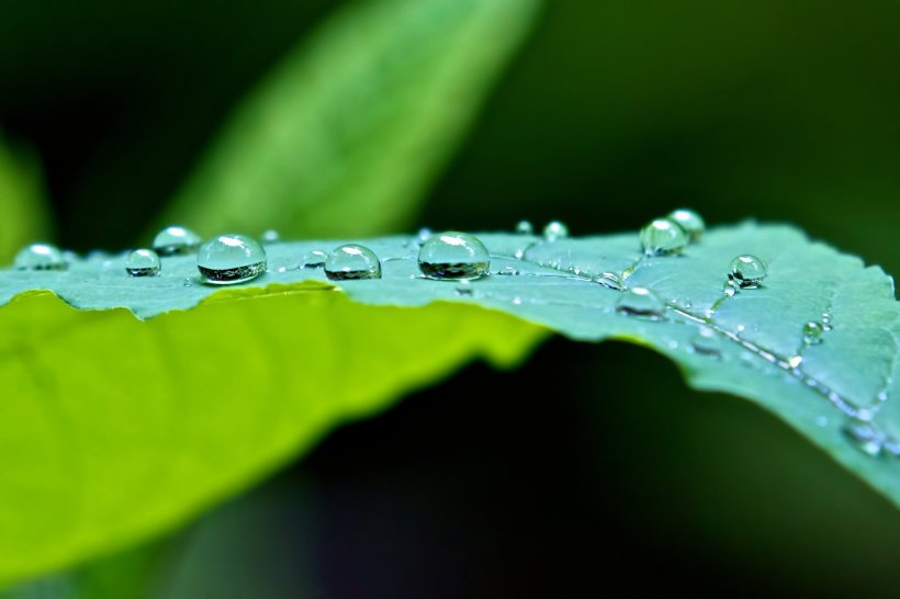 photo by Josh Scholten