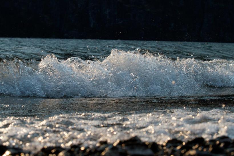 photo by Josh Scholten