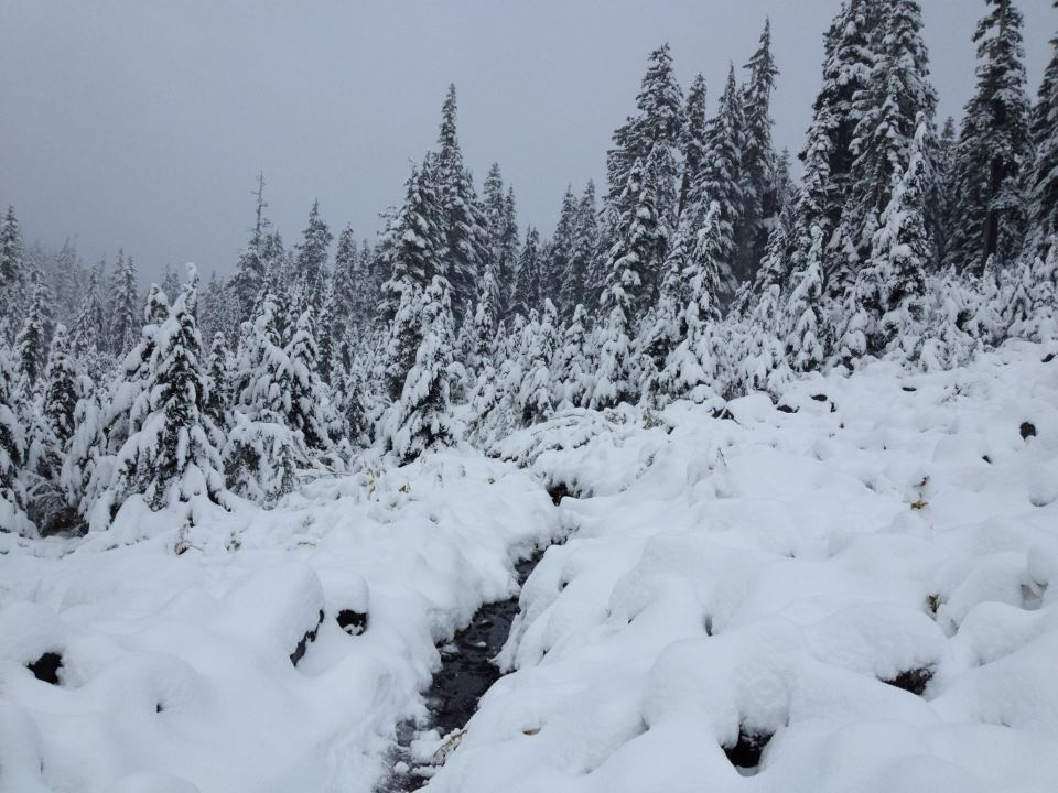 photo by Josh Scholten