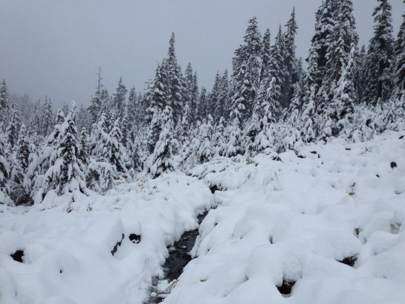 photo by Josh Scholten