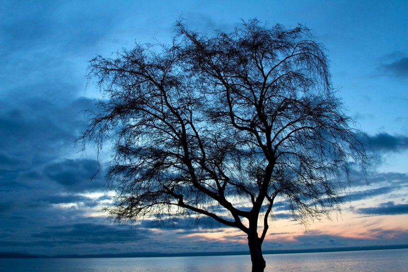 476897_3195576800612_261615318_o