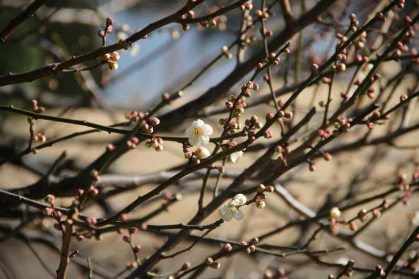 photo by Nate Gibson