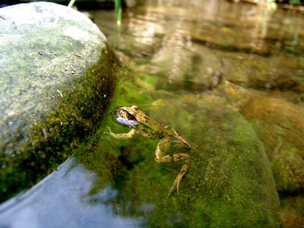 photo by Kate Steensma