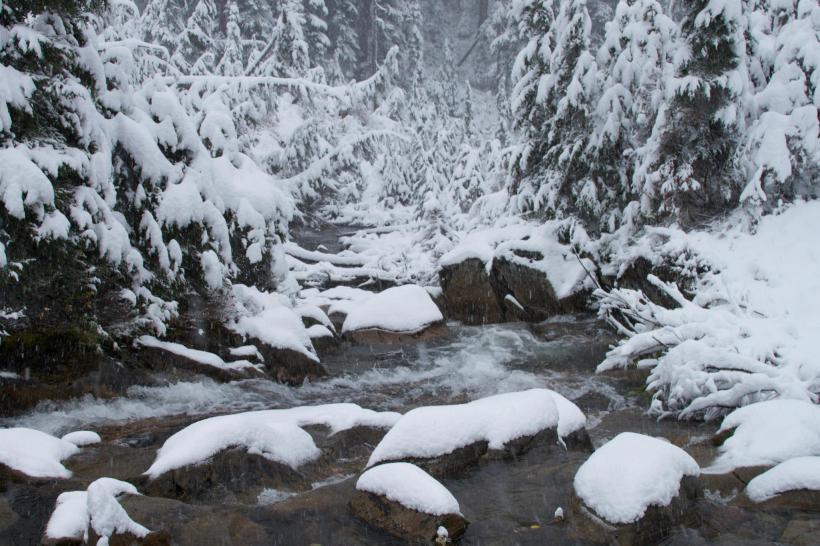 photo by Josh Scholten