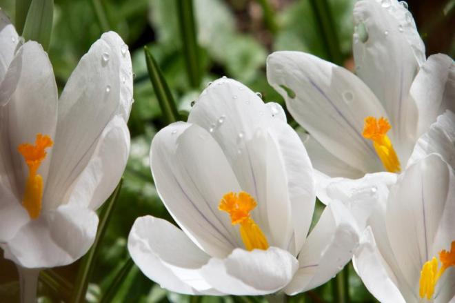 photo by Josh Scholten