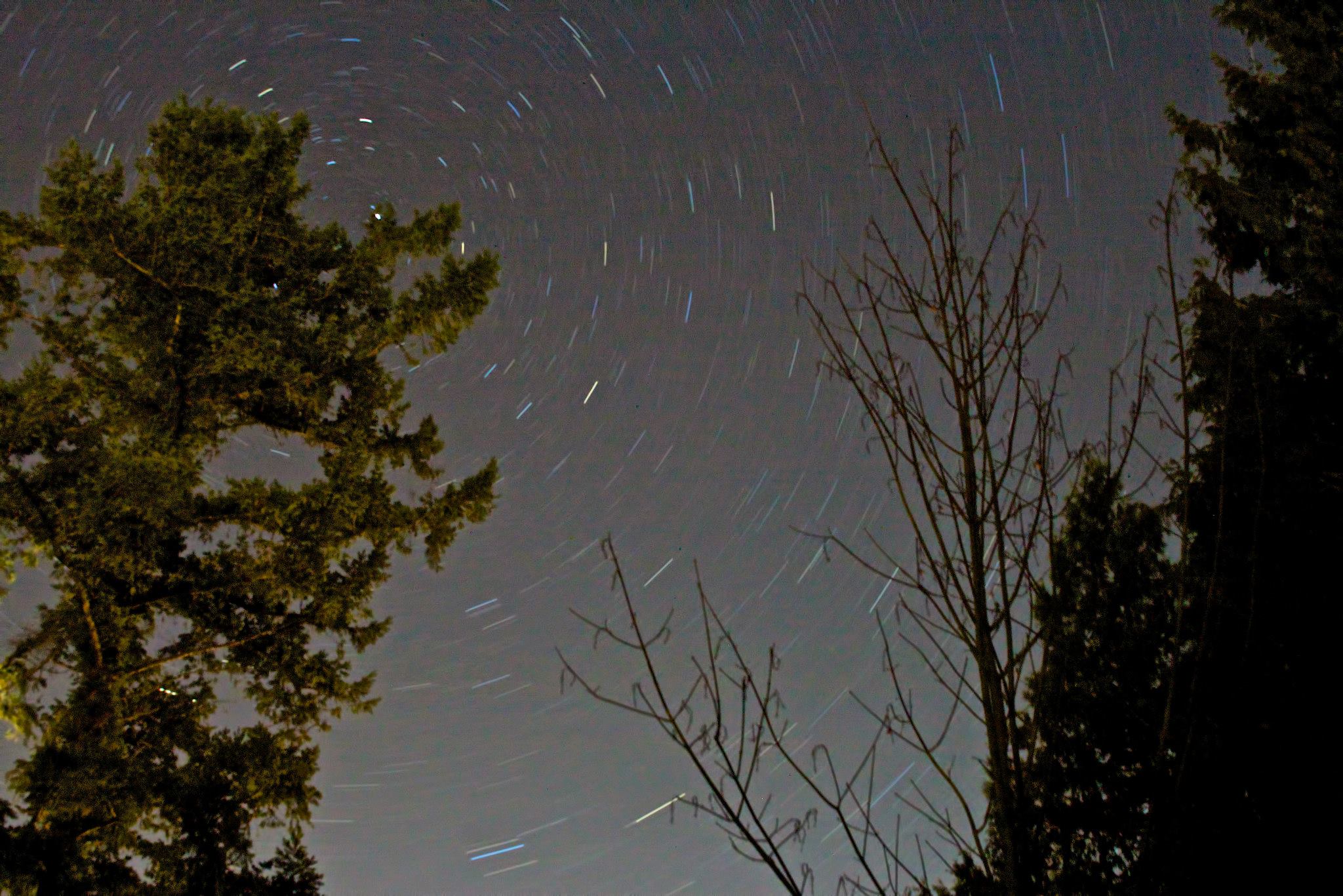 photo by Josh Scholten