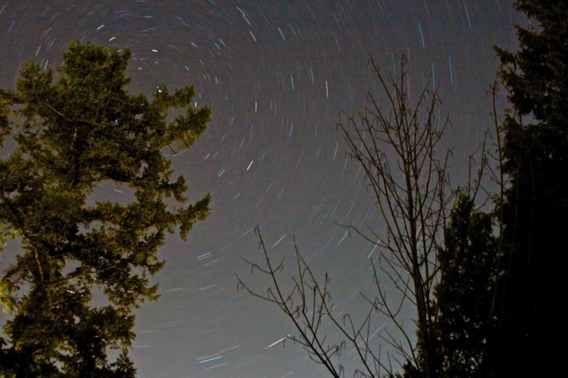 photo by Josh Scholten