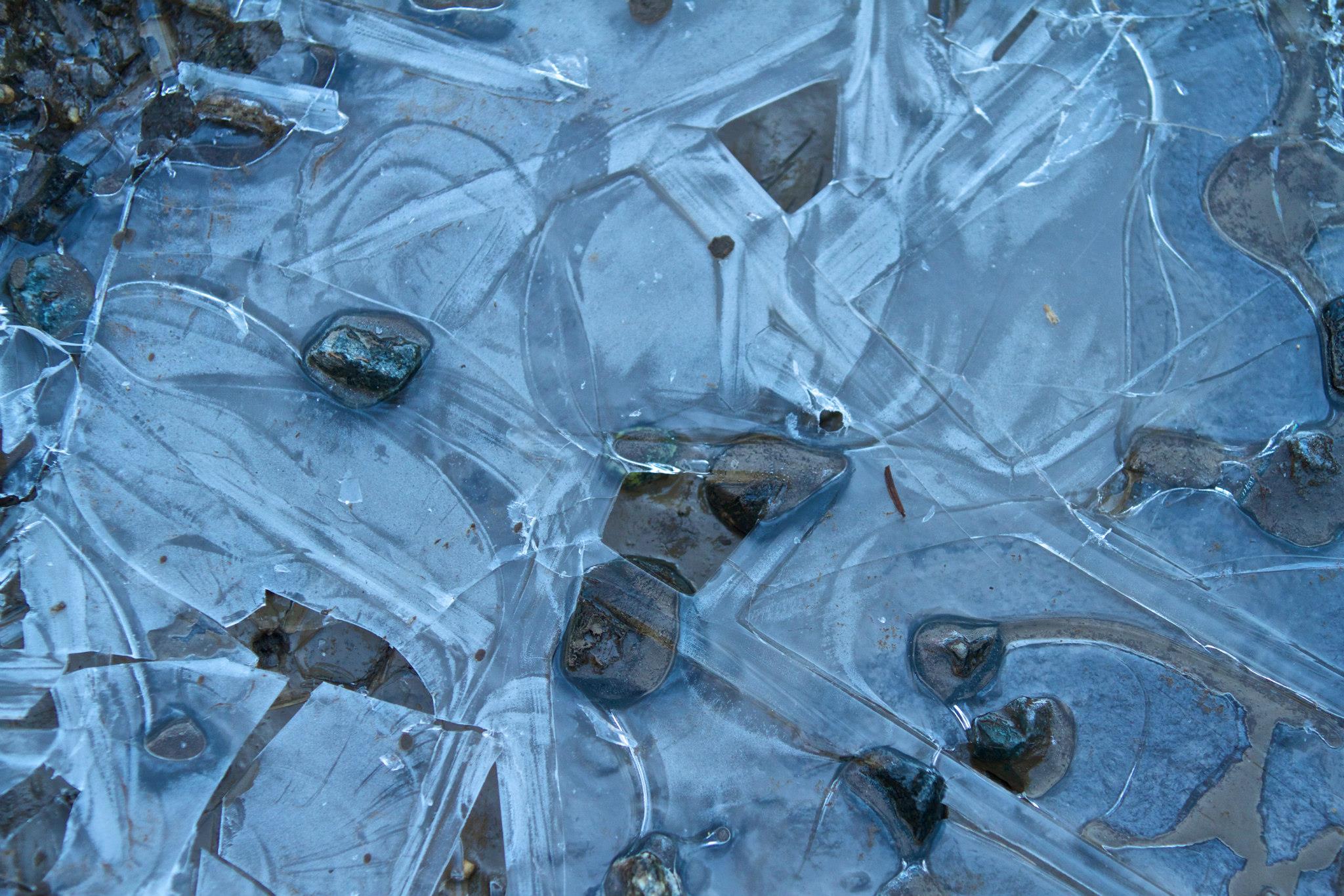 photo by Josh Scholten