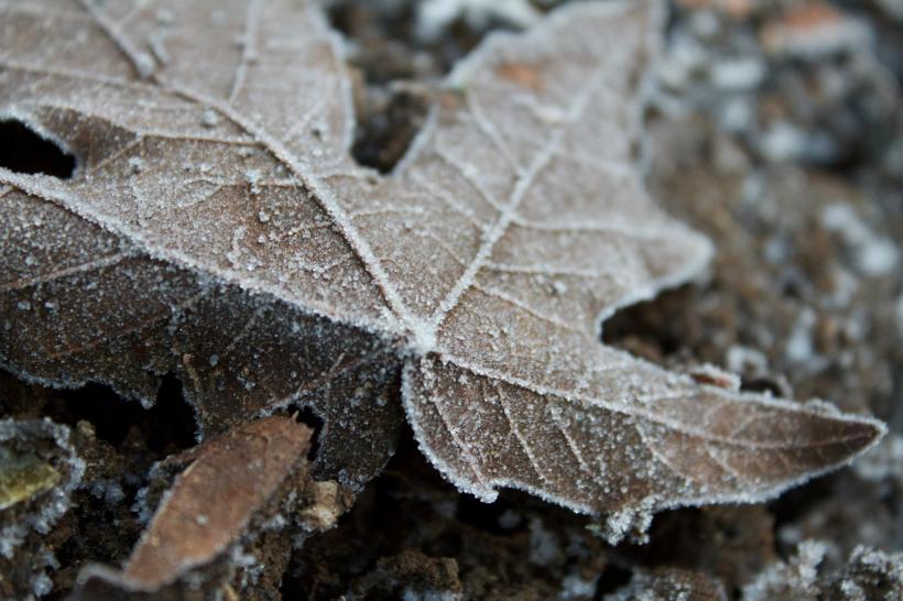 photo by Josh Scholten