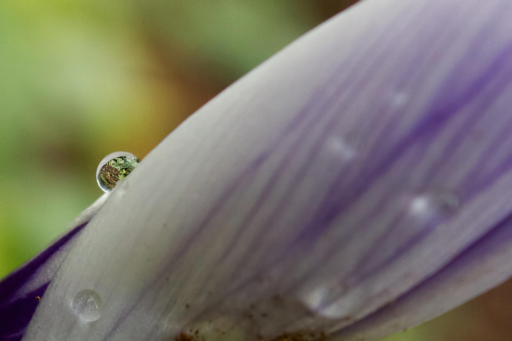 photo by Josh Scholten