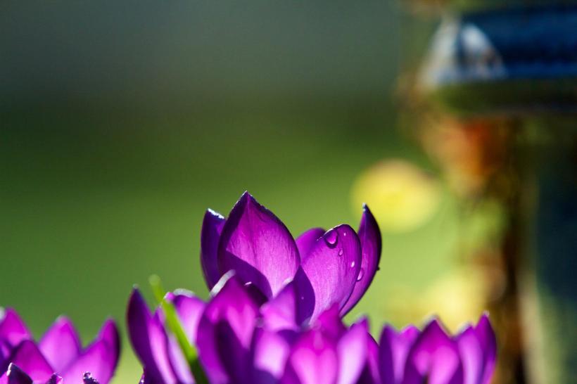 photo by Josh Scholten