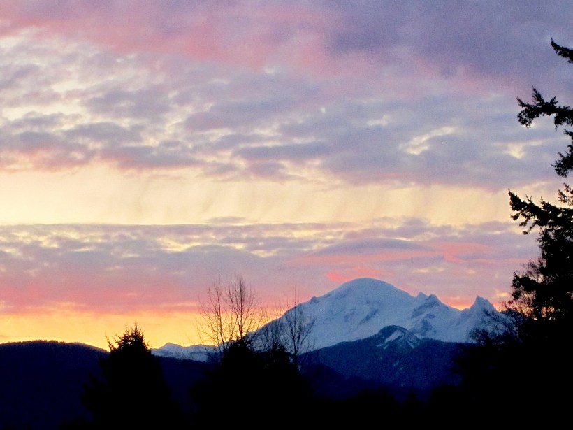 photo by Emily Gibson