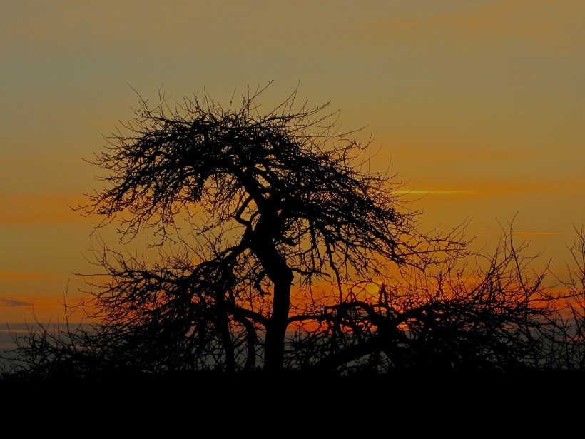 photo by Emily Gibson