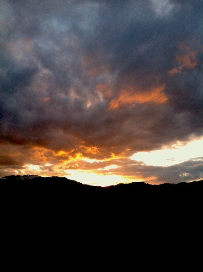 photo by Emily Gibson