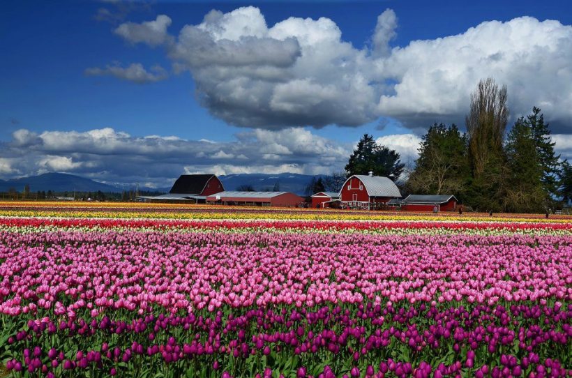 photo by KR Backwoods Photography