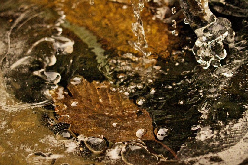 photo by Josh Scholten