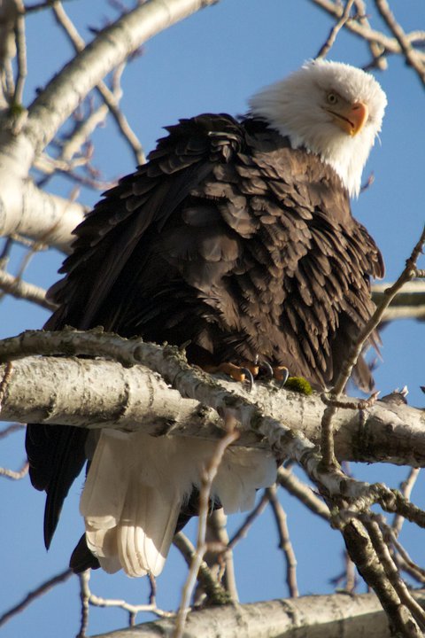 photo by Josh Scholten