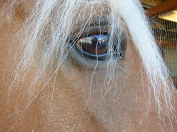 photo by Emily Dieleman