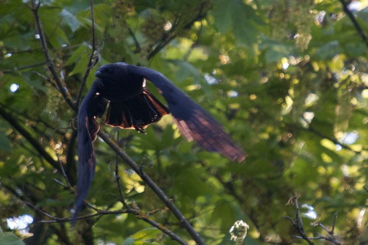 photo by Josh Scholten