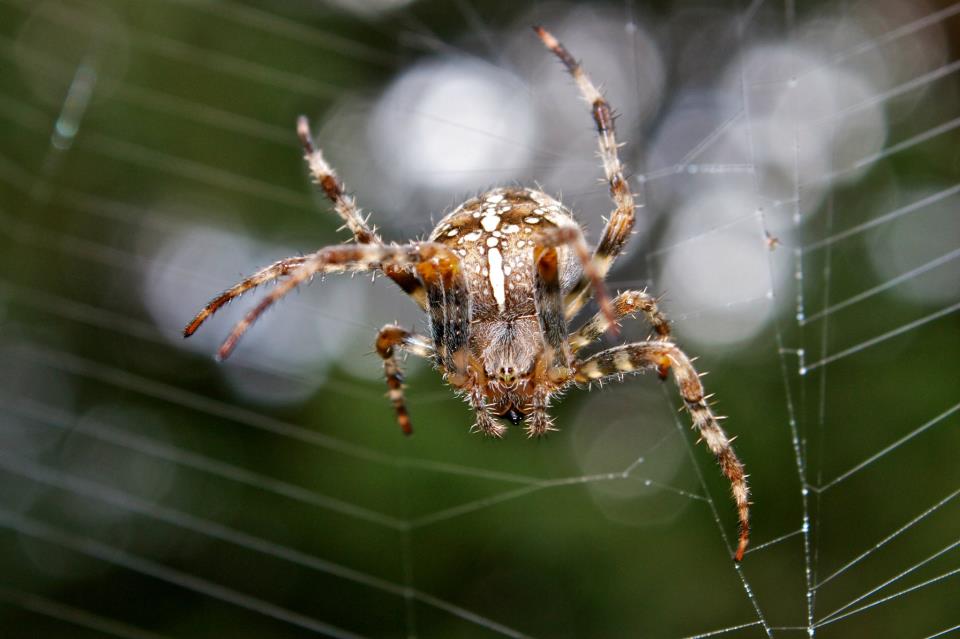 321506_2320890213994_619723958_n