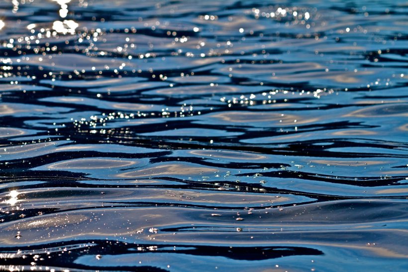 photo by Josh Scholten