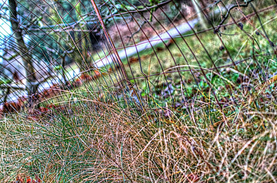 photo by Josh Scholten