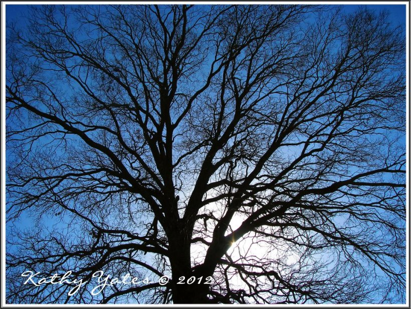 photo by Kathy Yates