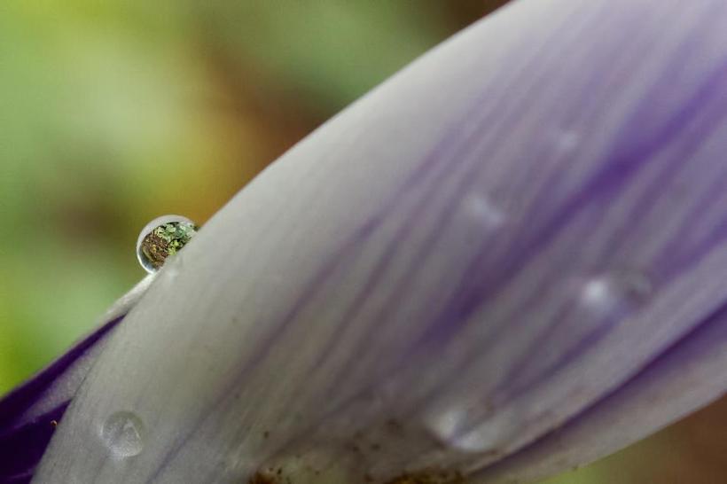 photo by Josh Scholten