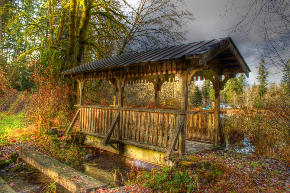 photo by Josh Scholten