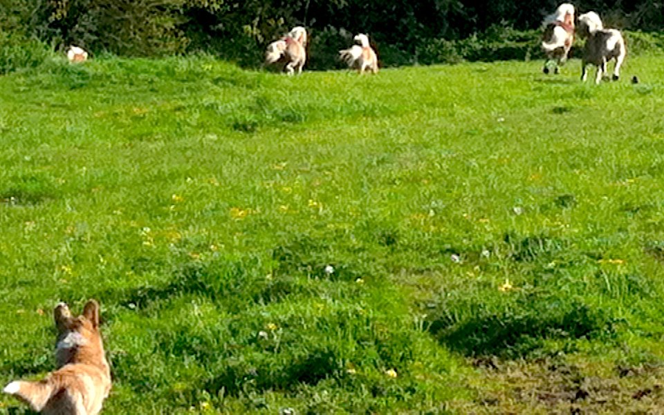 537813_10151600497686119_154987379_n