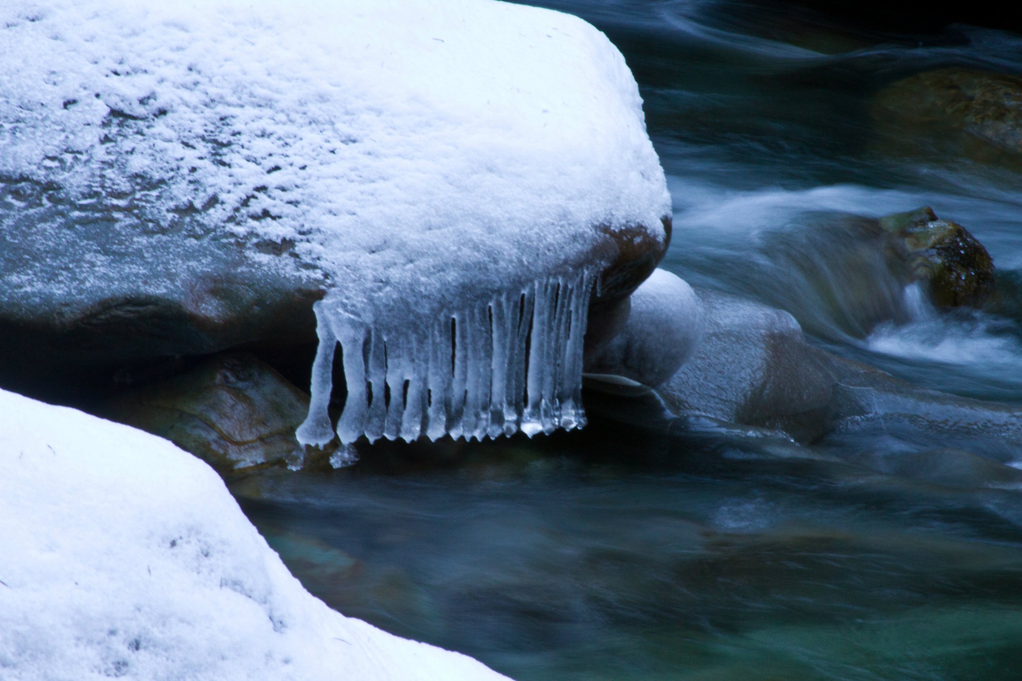 photo by Josh Scholten