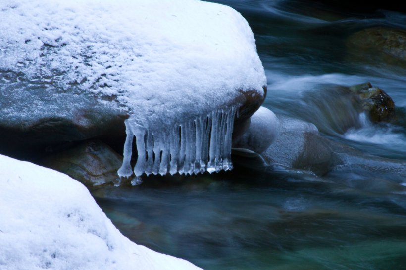 photo by Josh Scholten