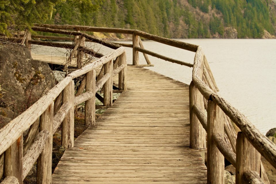 photo by Josh Scholten