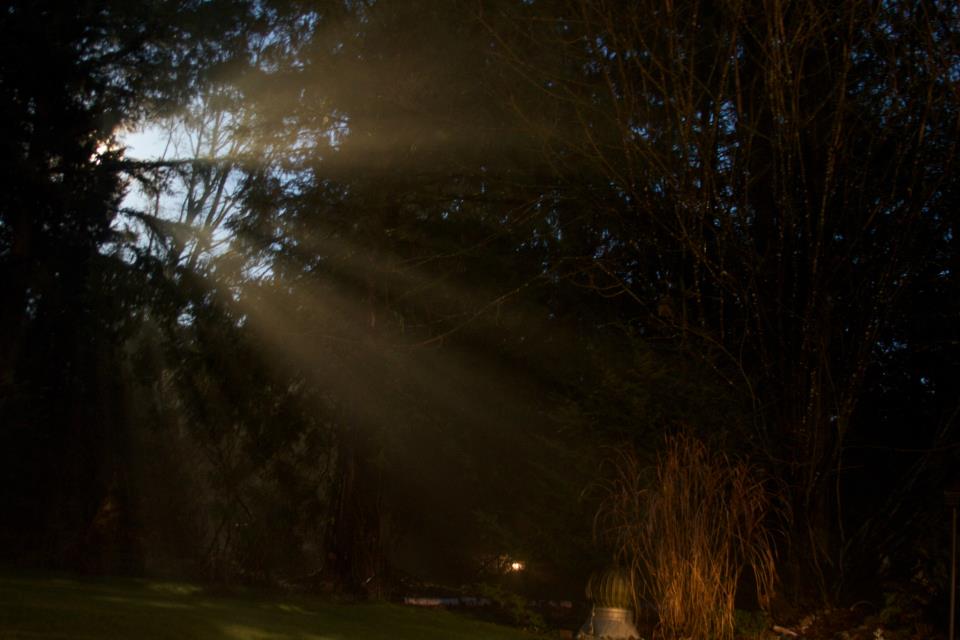 photo by Josh Scholten