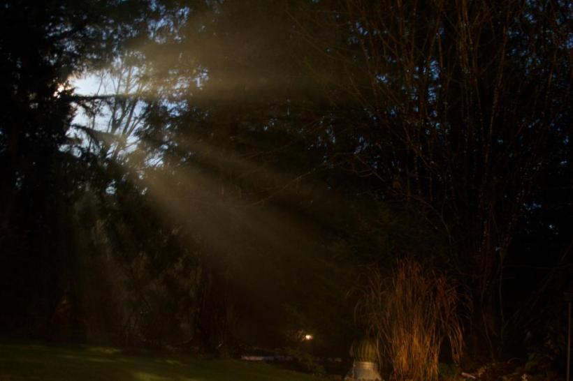 photo by Josh Scholten