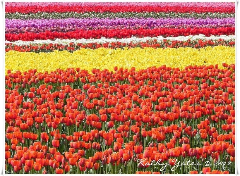 photo by Kathy Yates