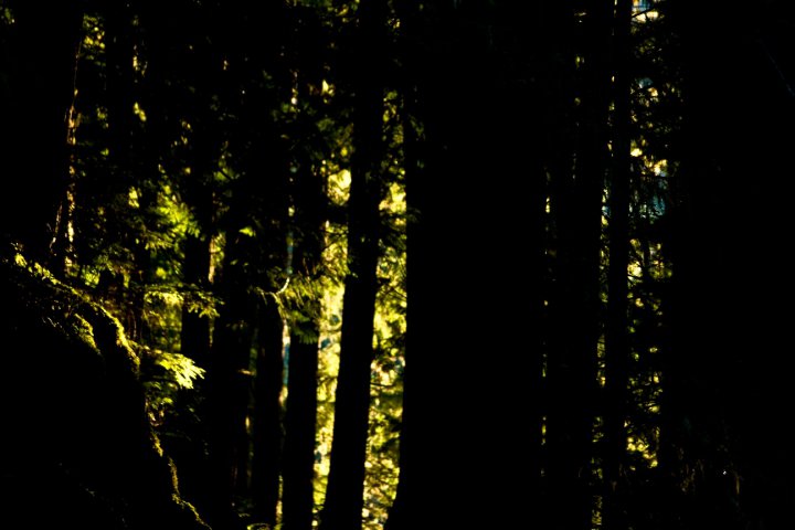 photo by Josh Scholten