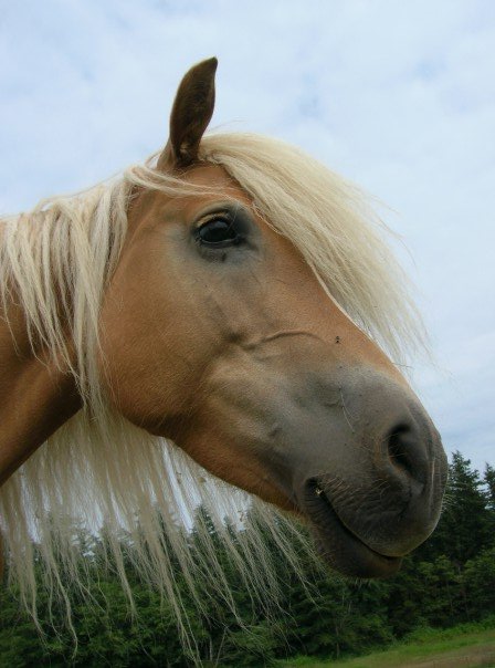 77_9143910461_1224_n