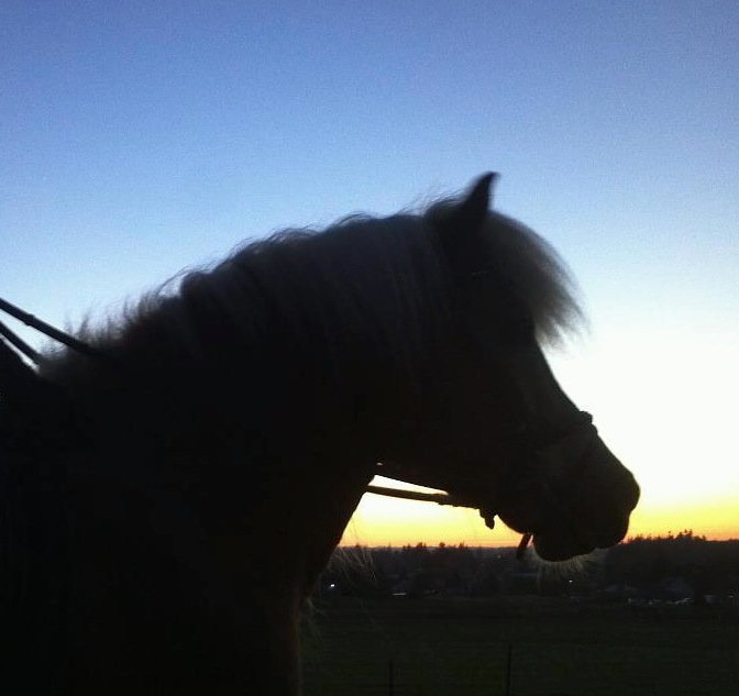 photo by Brandon Dieleman