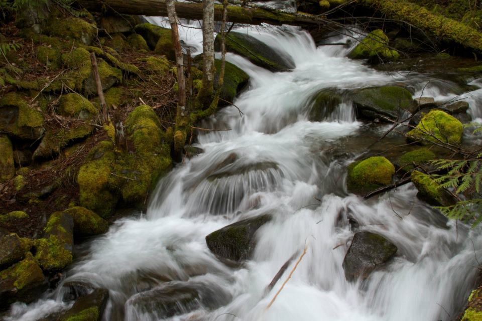 photo by Josh Scholten