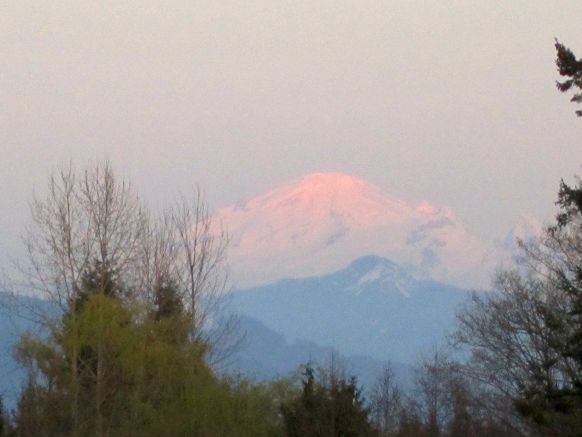 photo by Emily Gibson