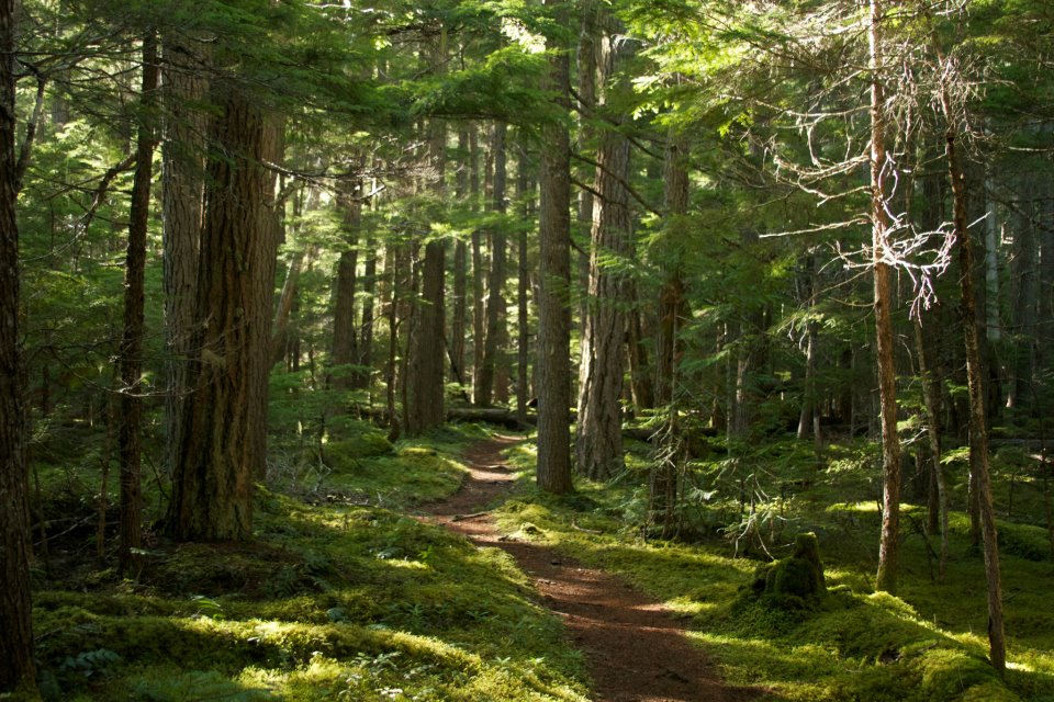 photo by Josh Scholten