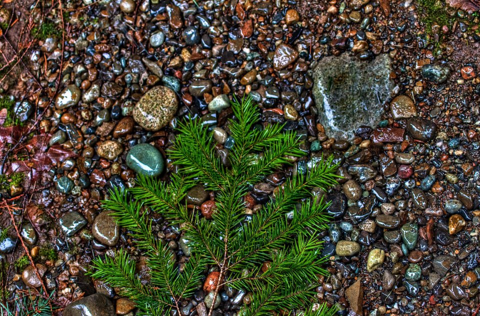 photo by Josh Scholten